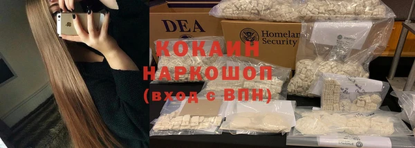 твердый Алексин