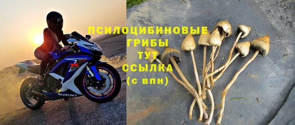 твердый Алексин