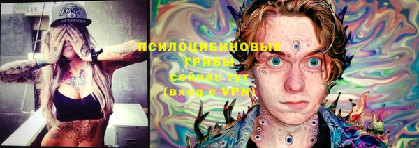 твердый Алексин