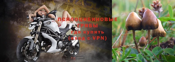 хмурый Армянск