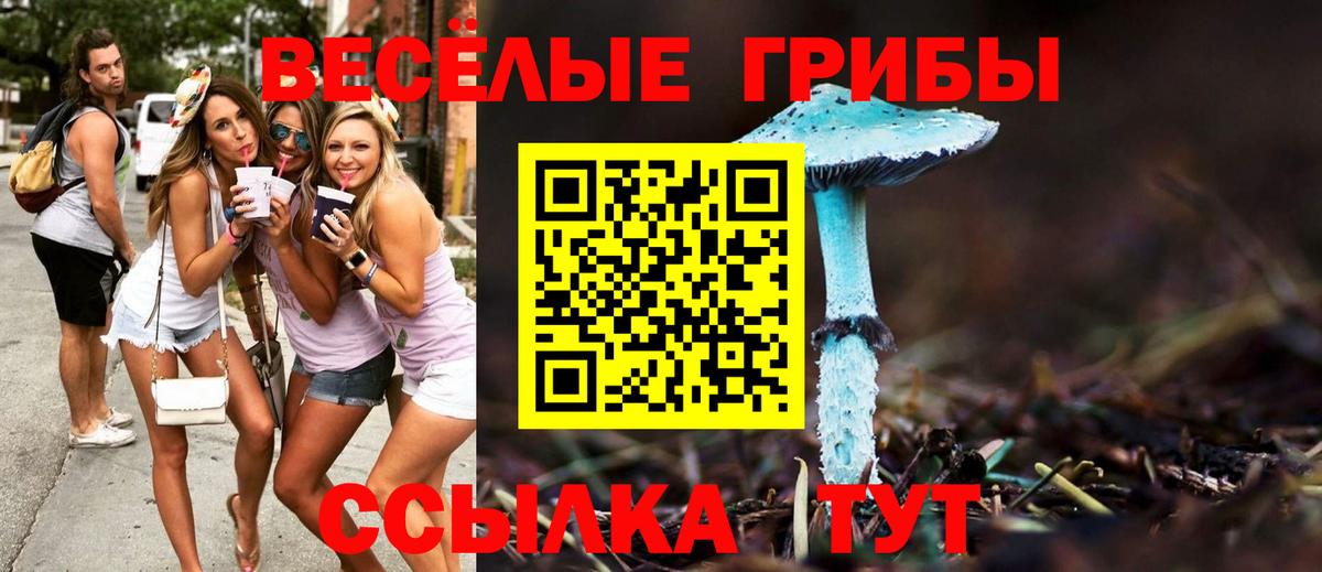 Галлюциногенные грибы MAGIC MUSHROOMS Нарткала
