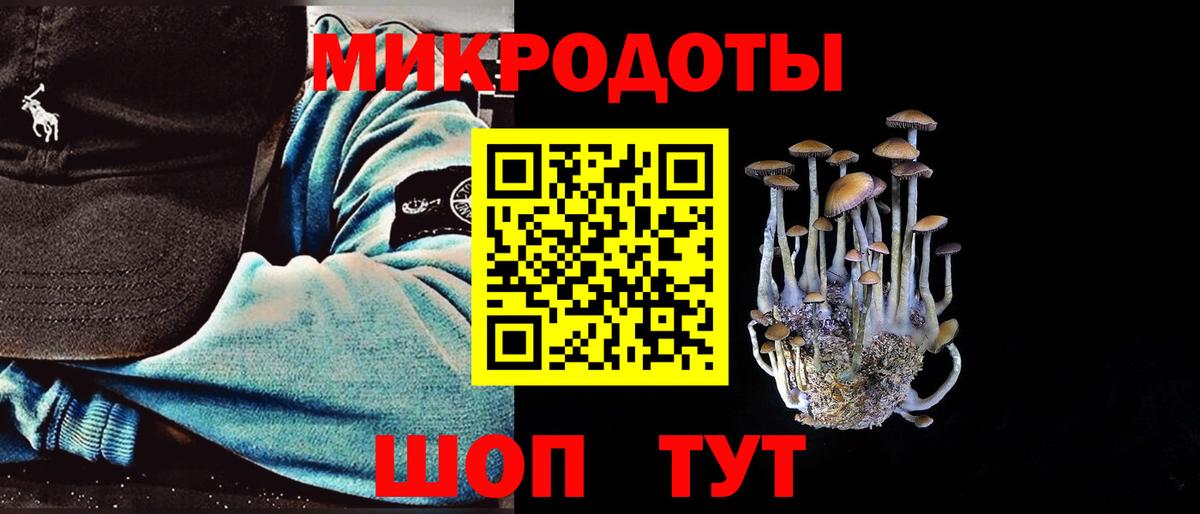 Нарткала  Псилоцибиновые грибы GOLDEN TEACHER  Вход с VPN 